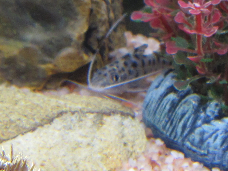 f:id:kantoly:20111129221646j:image f:id:kantoly:20111129221646j:image