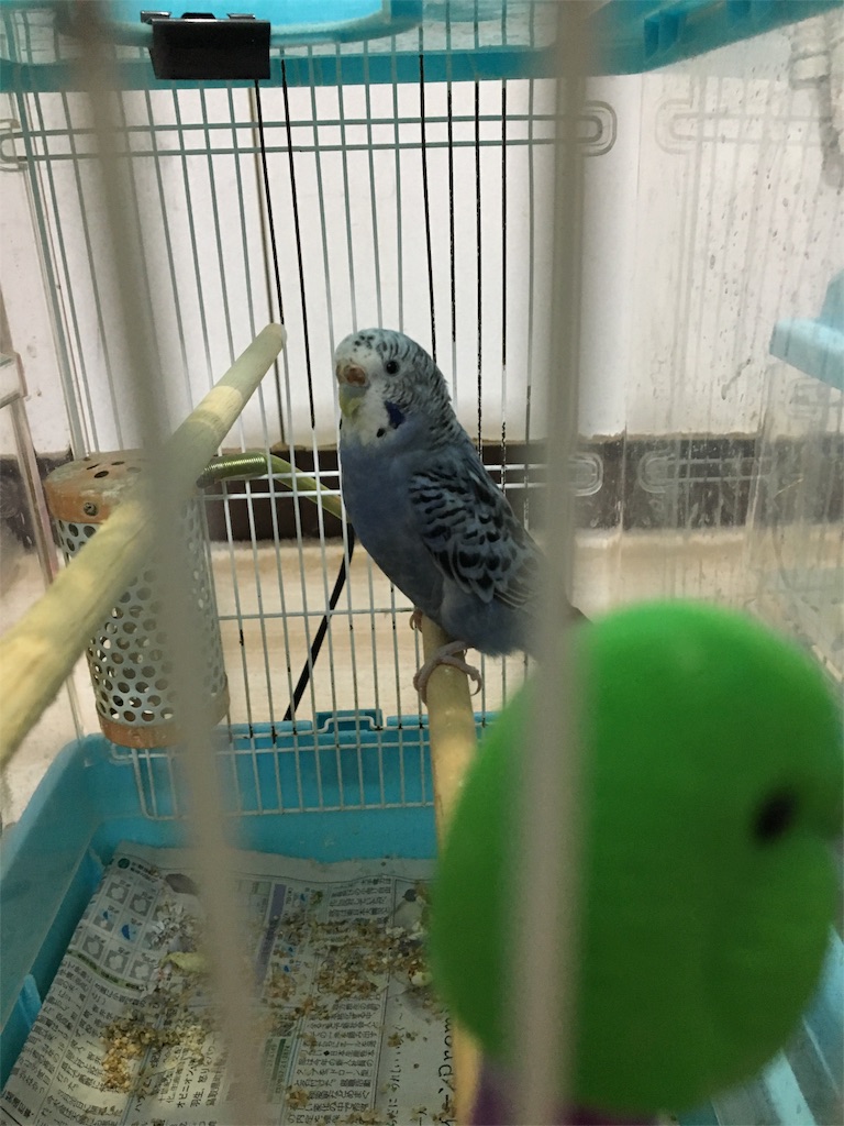 f:id:kao0710:20160407180232j:image f:id:kao0710:20160407180232j:image