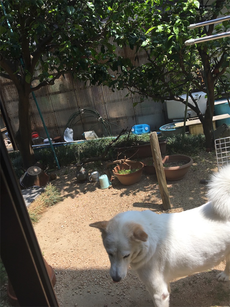 f:id:kao0710:20160515133948j:image f:id:kao0710:20160515133948j:image