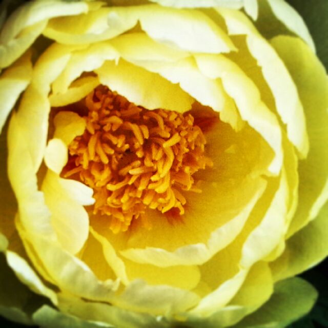 f:id:kaochaaaan:20150104193435j:plain f:id:kaochaaaan:20150104193435j:plain