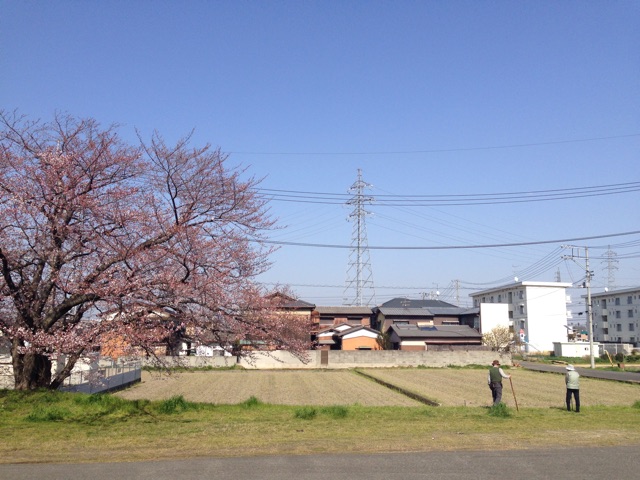f:id:kaoremix:20150330152328j:plain f:id:kaoremix:20150330152328j:plain