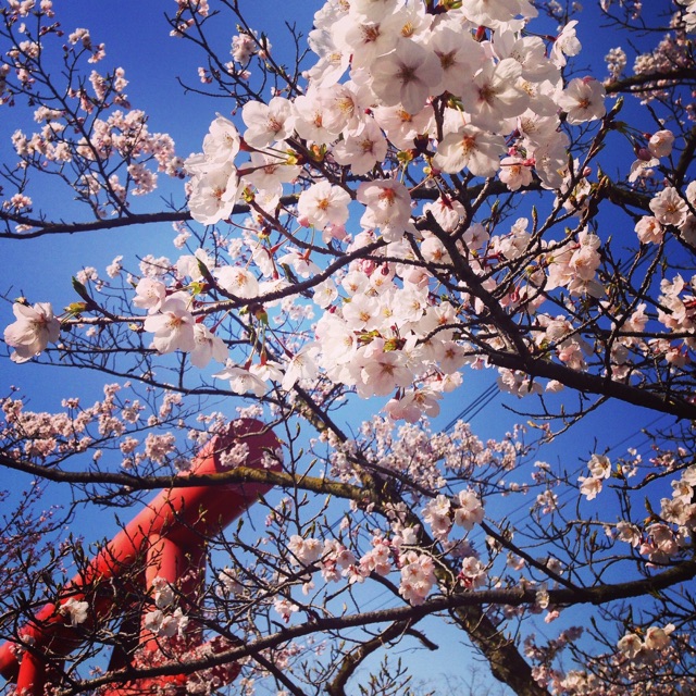 f:id:kaoremix:20150330173225j:plain f:id:kaoremix:20150330173225j:plain