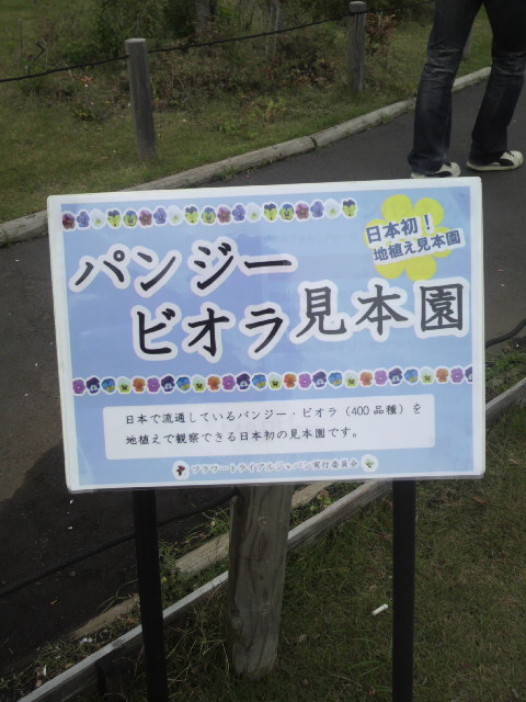 f:id:kaori-ri:20160425145617j:plain お台場