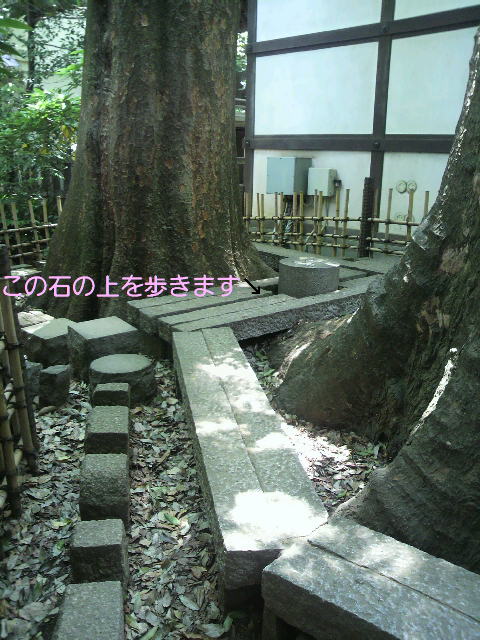 f:id:kaori-ri:20160513135606j:plain