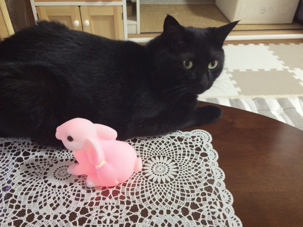 f:id:kaoringo7:20150912224002j:plain