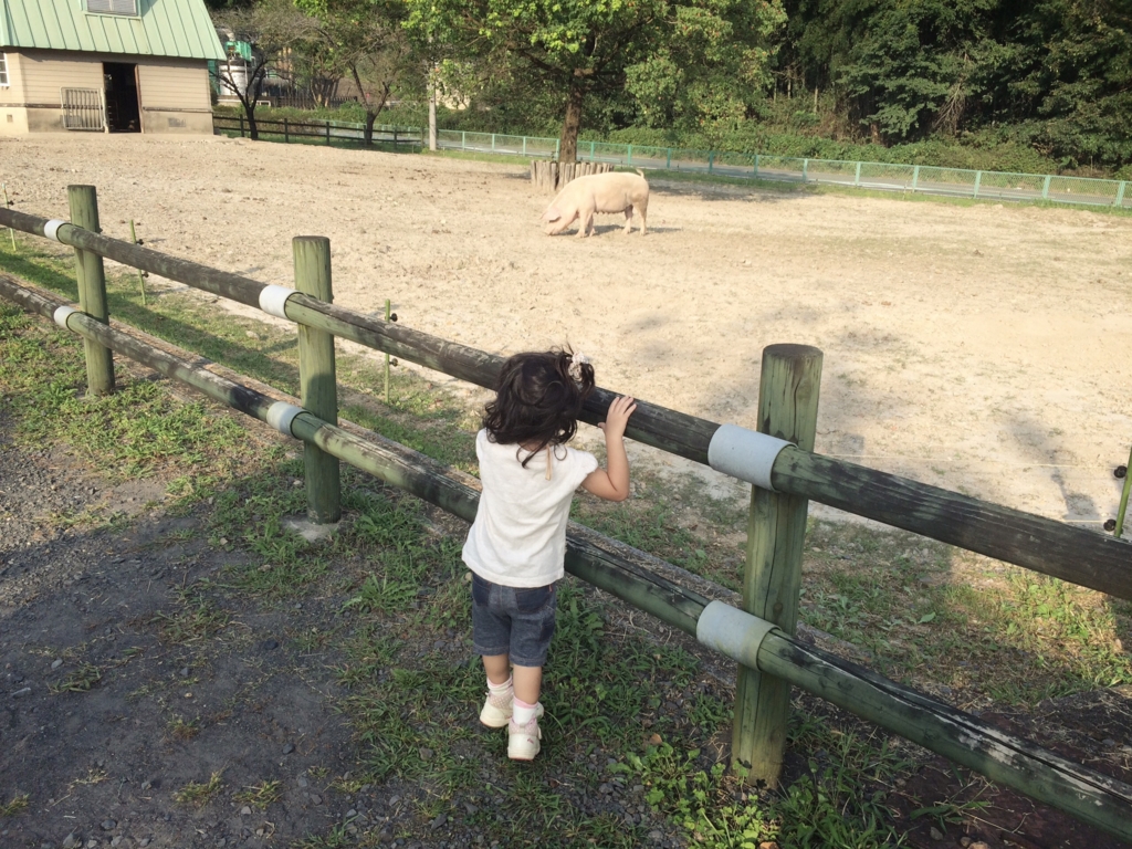 f:id:kaoringo7:20150924011316j:plain