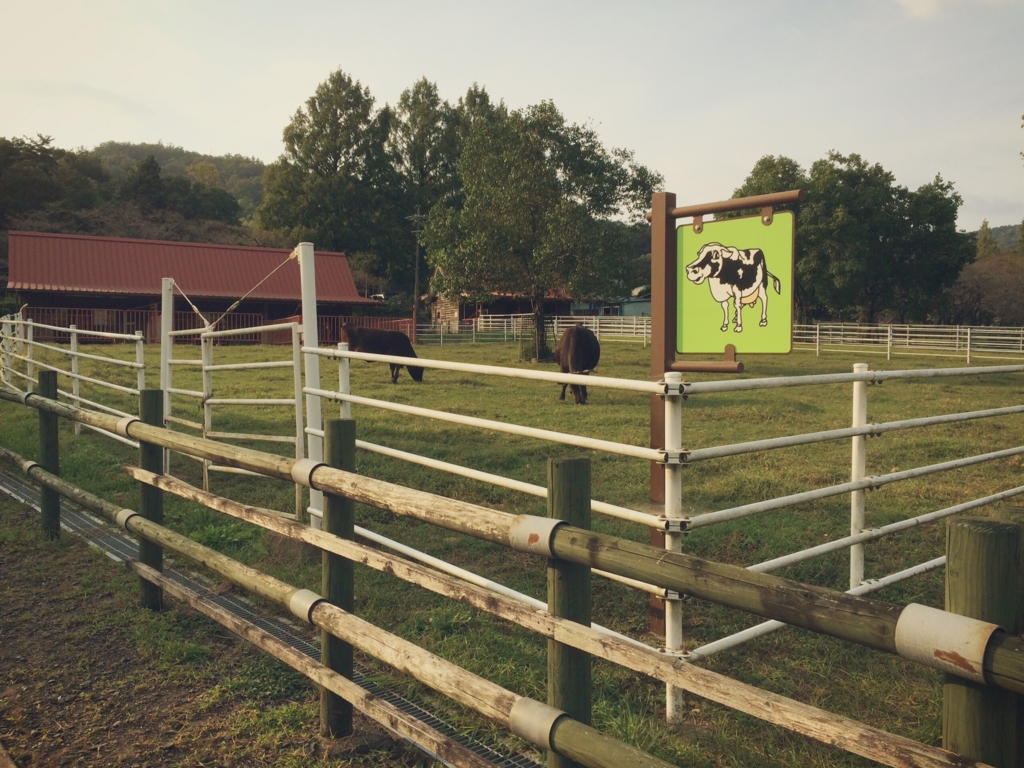 f:id:kaoringo7:20150924011710j:plain