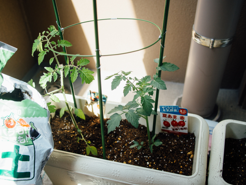 f:id:karaage:20170521092112j:plain:w640 f:id:karaage:20170521092112j:plain:w640