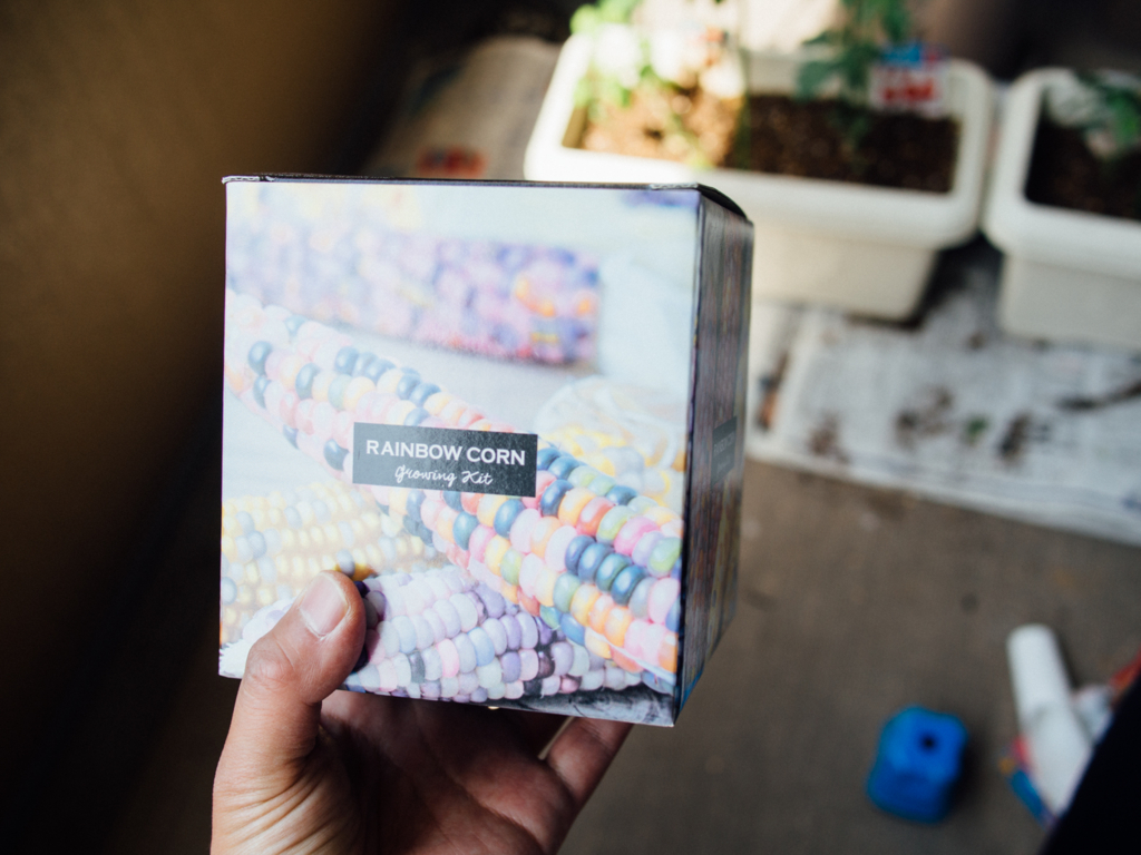 f:id:karaage:20170521093140j:plain:w640 f:id:karaage:20170521093140j:plain:w640