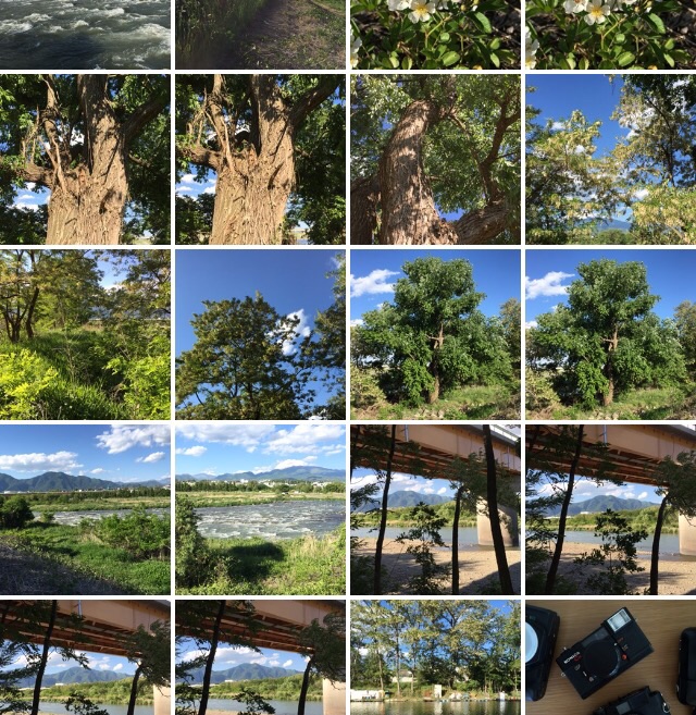 f:id:karasugawa:20150523101114j:plain f:id:karasugawa:20150523101114j:plain