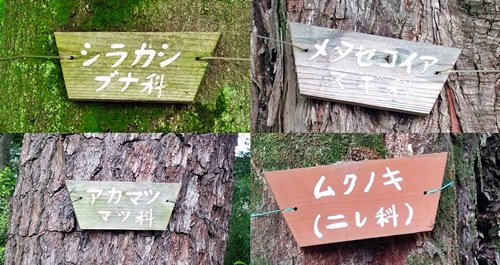 f:id:karigari:20150611100132j:plain f:id:karigari:20150611100132j:plain