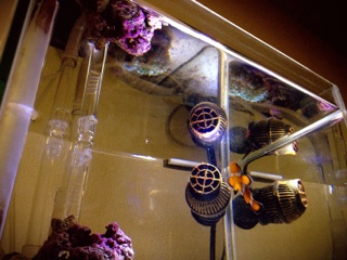 f:id:karu_xxxx:20130919213902j:plain f:id:karu_xxxx:20130919213902j:plain