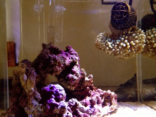 f:id:karu_xxxx:20130921171658j:plain f:id:karu_xxxx:20130921171658j:plain