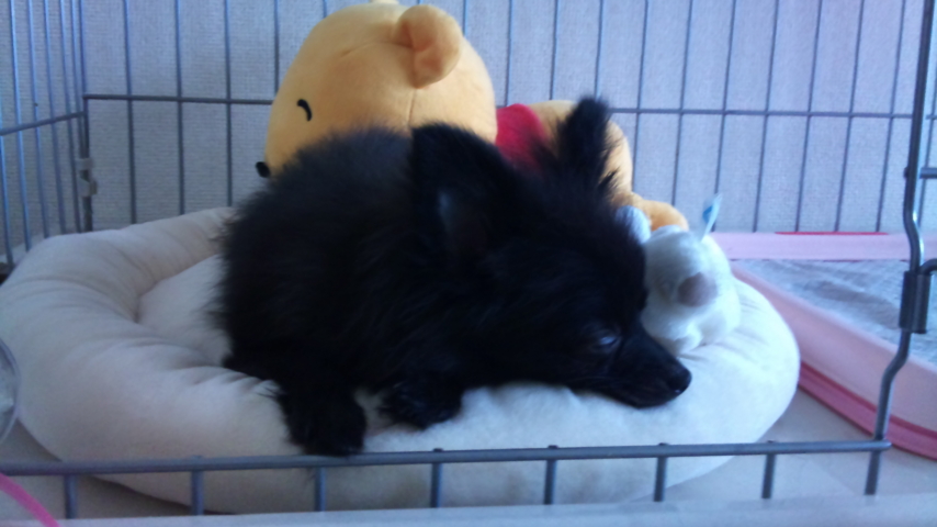 f:id:kasai-masahito:20110822153842j:image f:id:kasai-masahito:20110822153842j:image