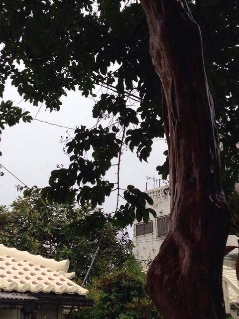 f:id:katachiki:20140506143302j:plain f:id:katachiki:20140506143302j:plain