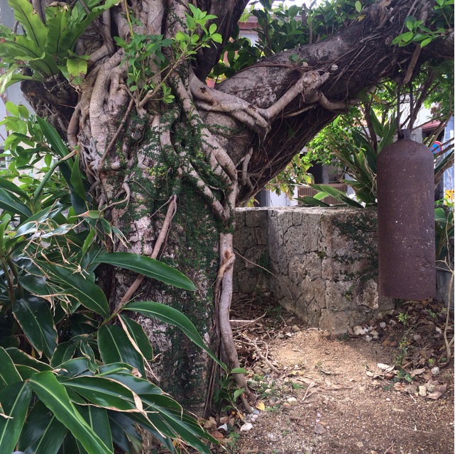 f:id:katachiki:20141112231350j:plain f:id:katachiki:20141112231350j:plain