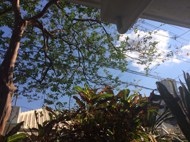 f:id:katachiki:20141120124322j:plain f:id:katachiki:20141120124322j:plain