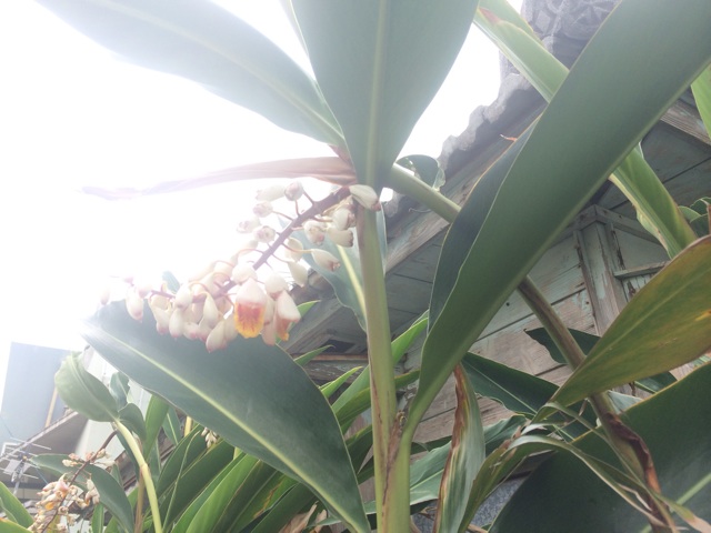 f:id:katachiki:20150515084547j:plain f:id:katachiki:20150515084547j:plain