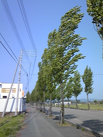 f:id:katakengogo:20080429090146j:image f:id:katakengogo:20080429090146j:image