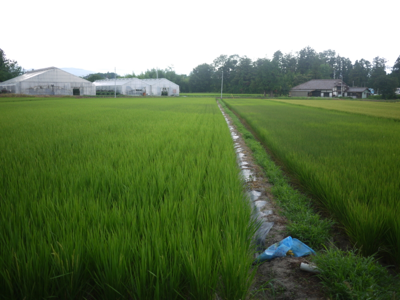 f:id:katamatsu:20150809222741j:plain f:id:katamatsu:20150809222741j:plain