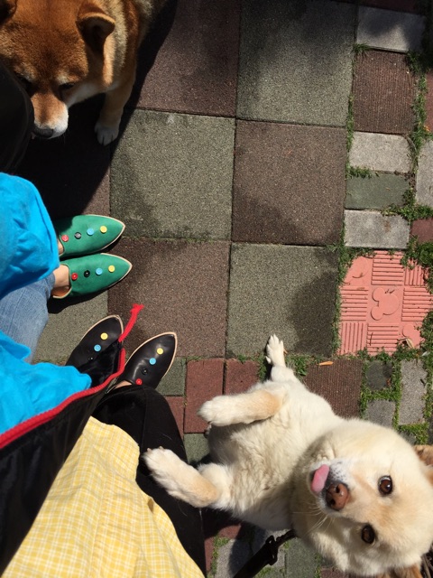 f:id:katatsumuri-shoes:20150603223453j:plain f:id:katatsumuri-shoes:20150603223453j:plain