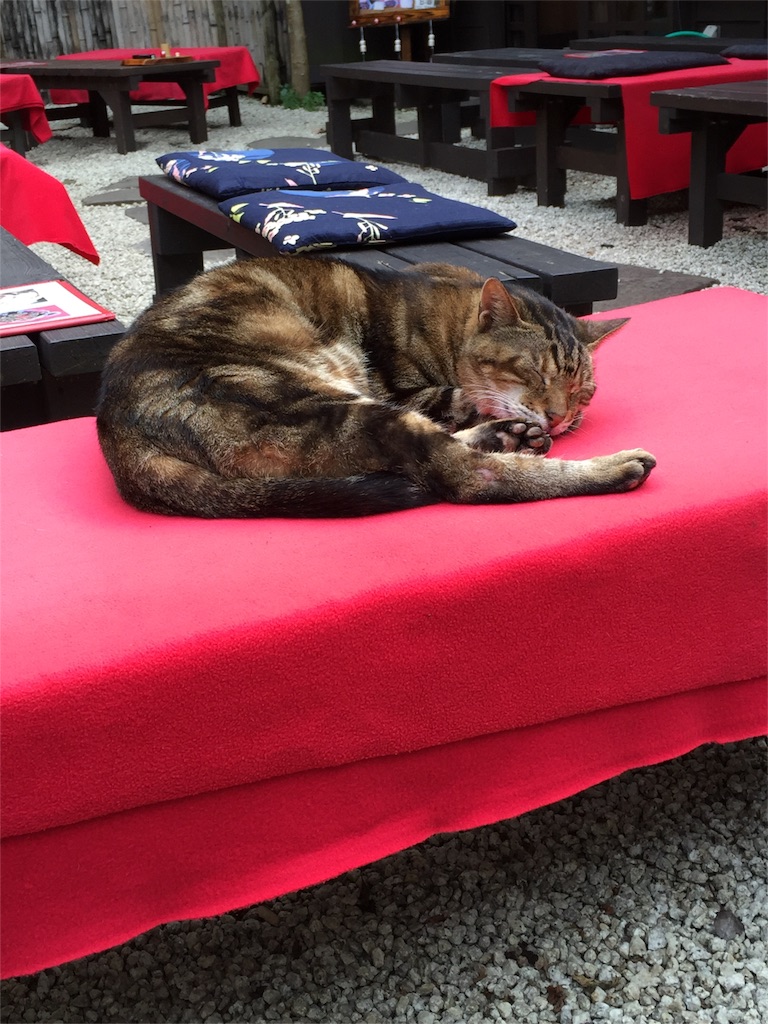 f:id:kataware3:20151108210724j:image f:id:kataware3:20151108210724j:image