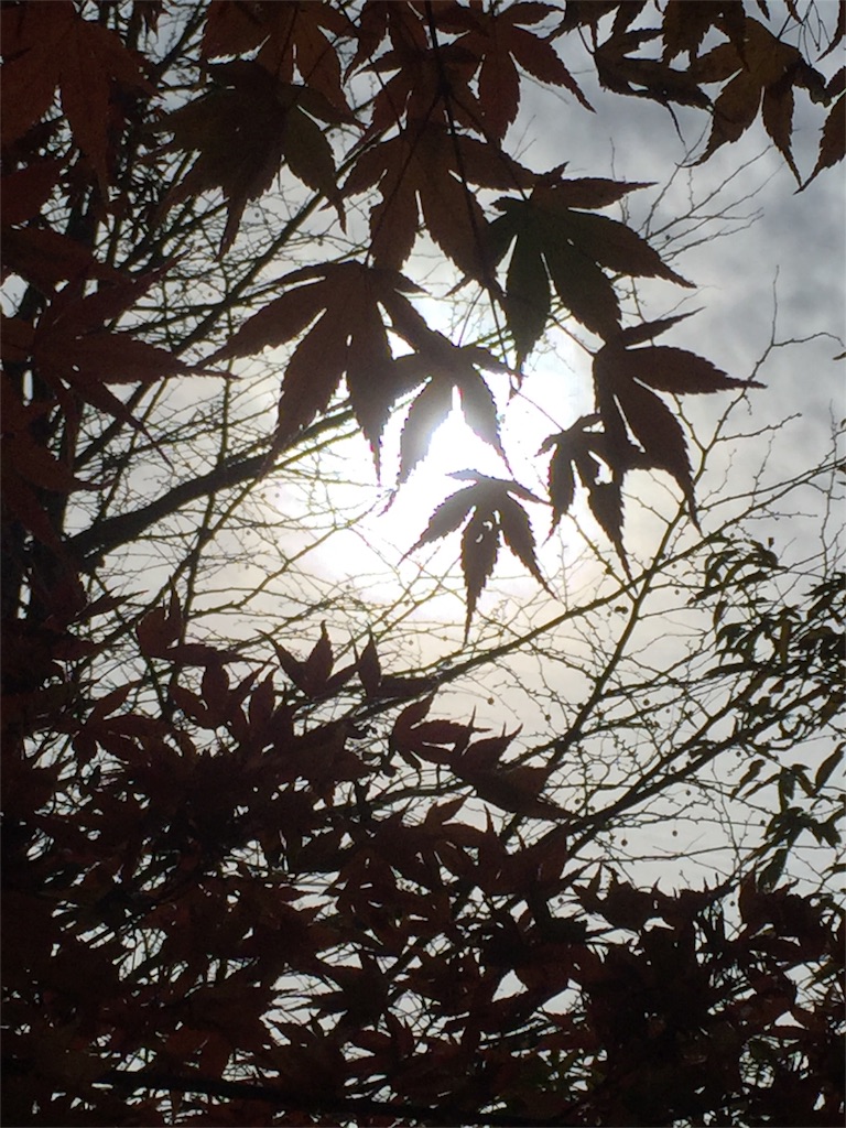 f:id:kataware3:20151122004641j:image f:id:kataware3:20151122004641j:image