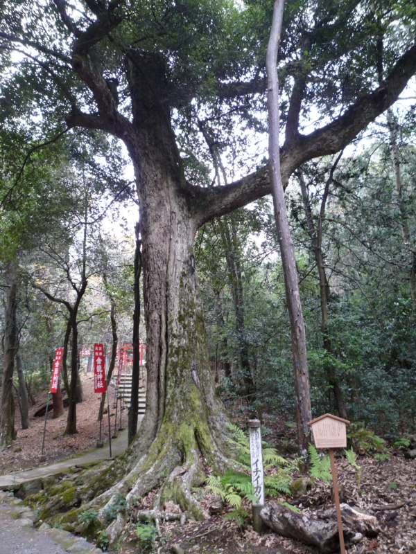 f:id:katchamans:20101211130929j:plain