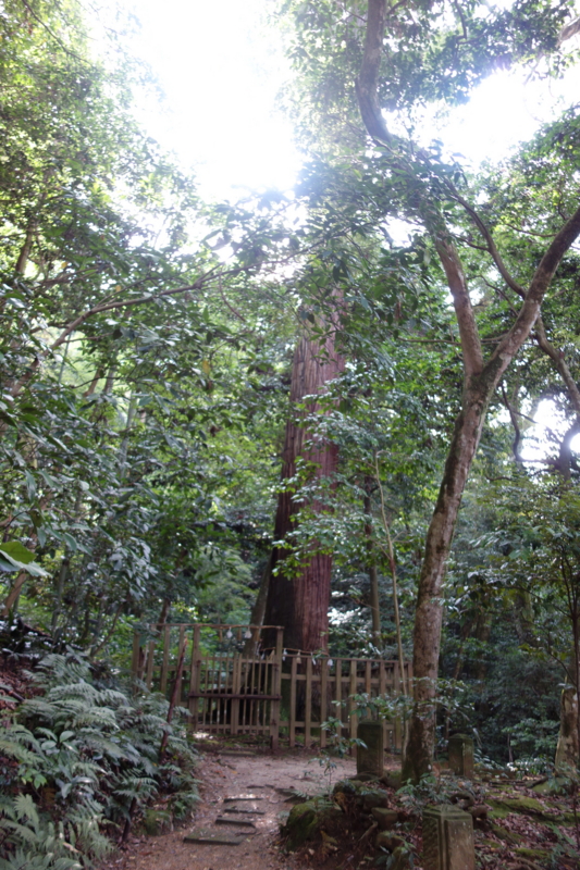 f:id:katchamans:20130627162450j:plain