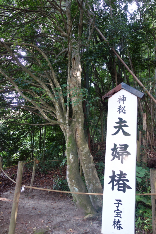 f:id:katchamans:20130627162706j:plain