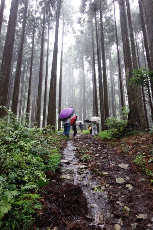 f:id:katchamans:20130713161035j:plain