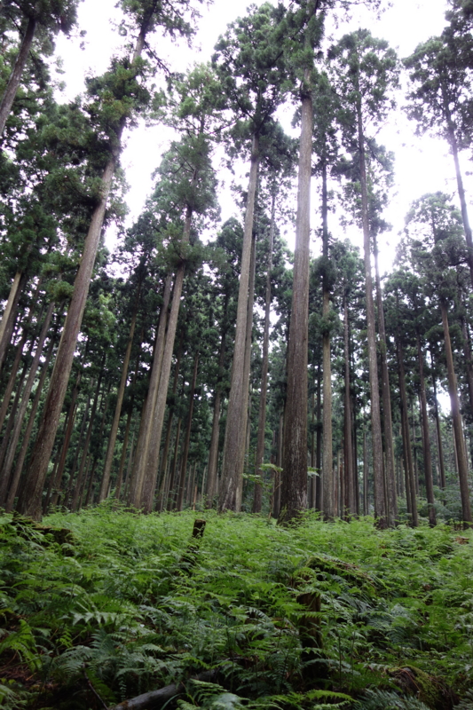 f:id:katchamans:20130713162430j:plain