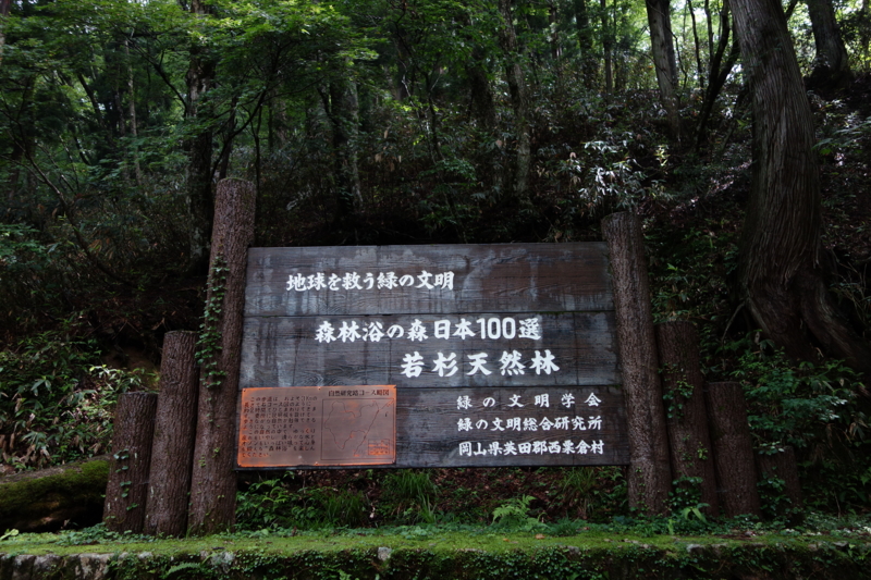 f:id:katchamans:20130714100652j:plain