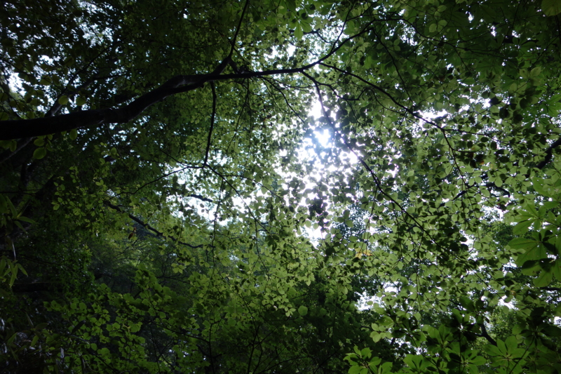 f:id:katchamans:20130714100920j:plain