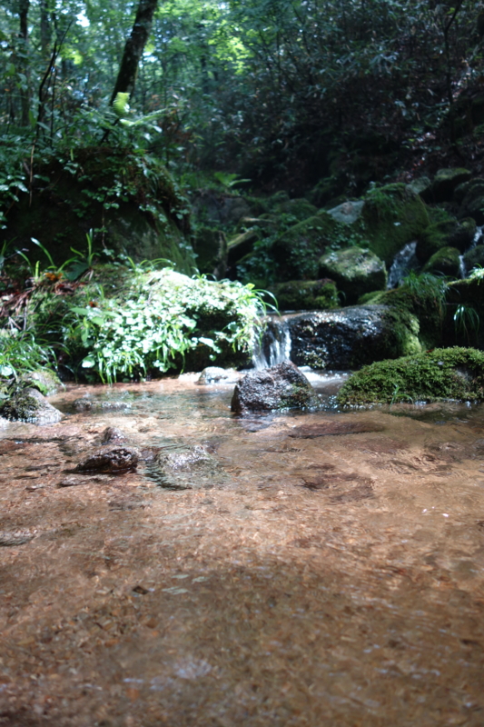 f:id:katchamans:20130714101042j:plain