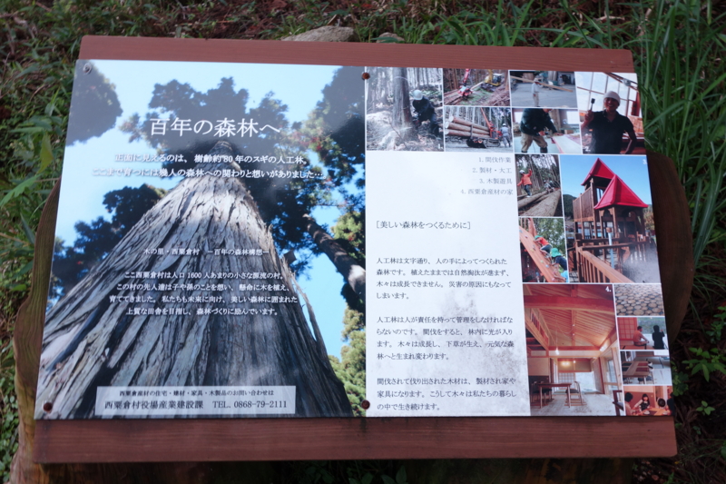 f:id:katchamans:20130714103554j:plain