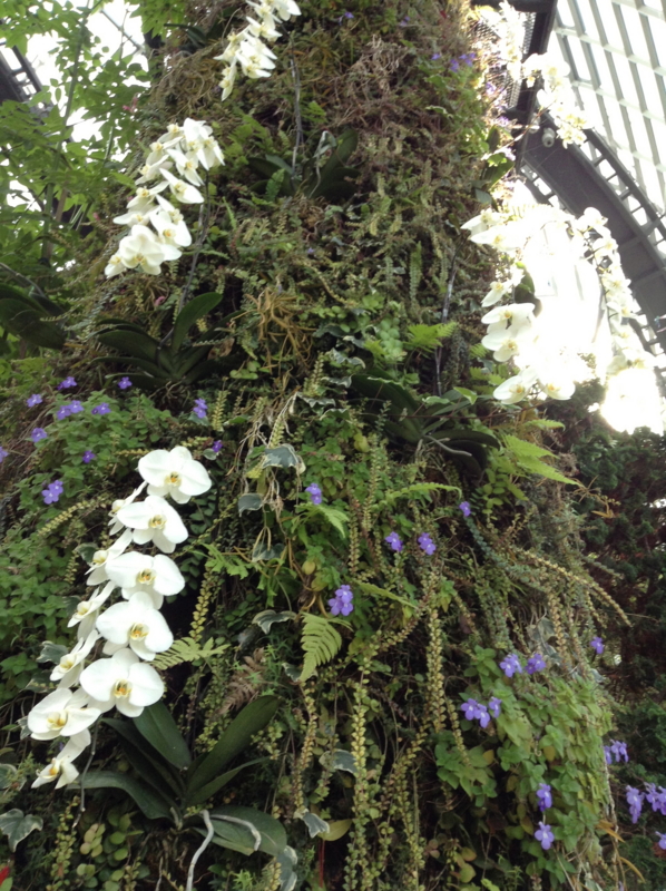 f:id:katchamans:20130721155908j:plain