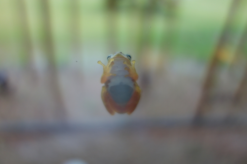 f:id:katchamans:20130901130335j:plain