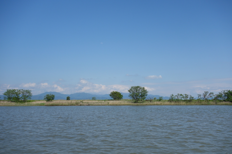 f:id:katchamans:20140509144501j:plain