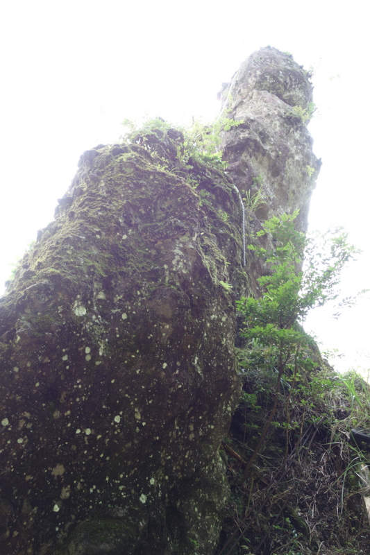 f:id:katchamans:20140719152949j:plain