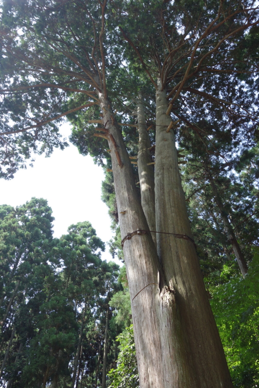 f:id:katchamans:20140727095501j:plain