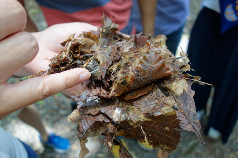 f:id:katchamans:20140727113157j:plain