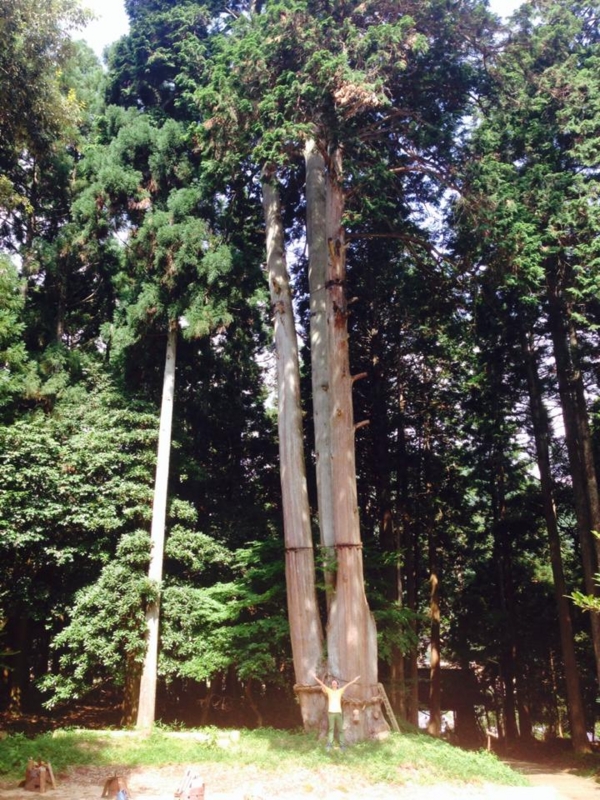 f:id:katchamans:20140817232622j:plain