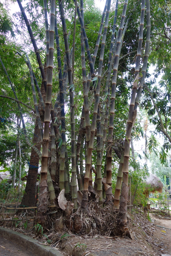 f:id:katchamans:20150825165019j:plain