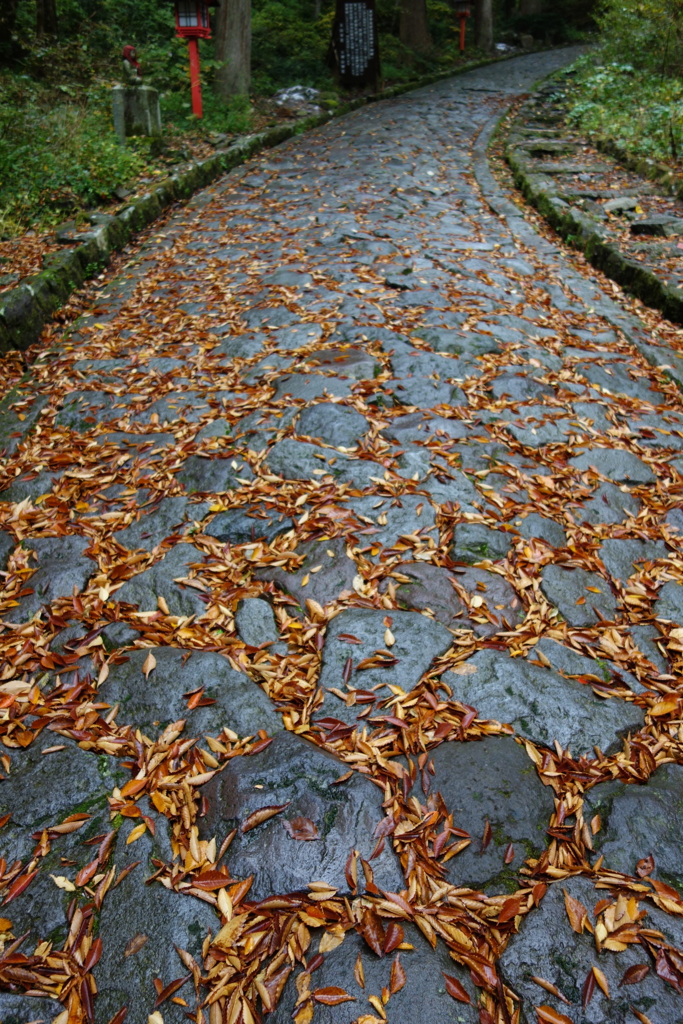 f:id:katchamans:20151022133241j:plain