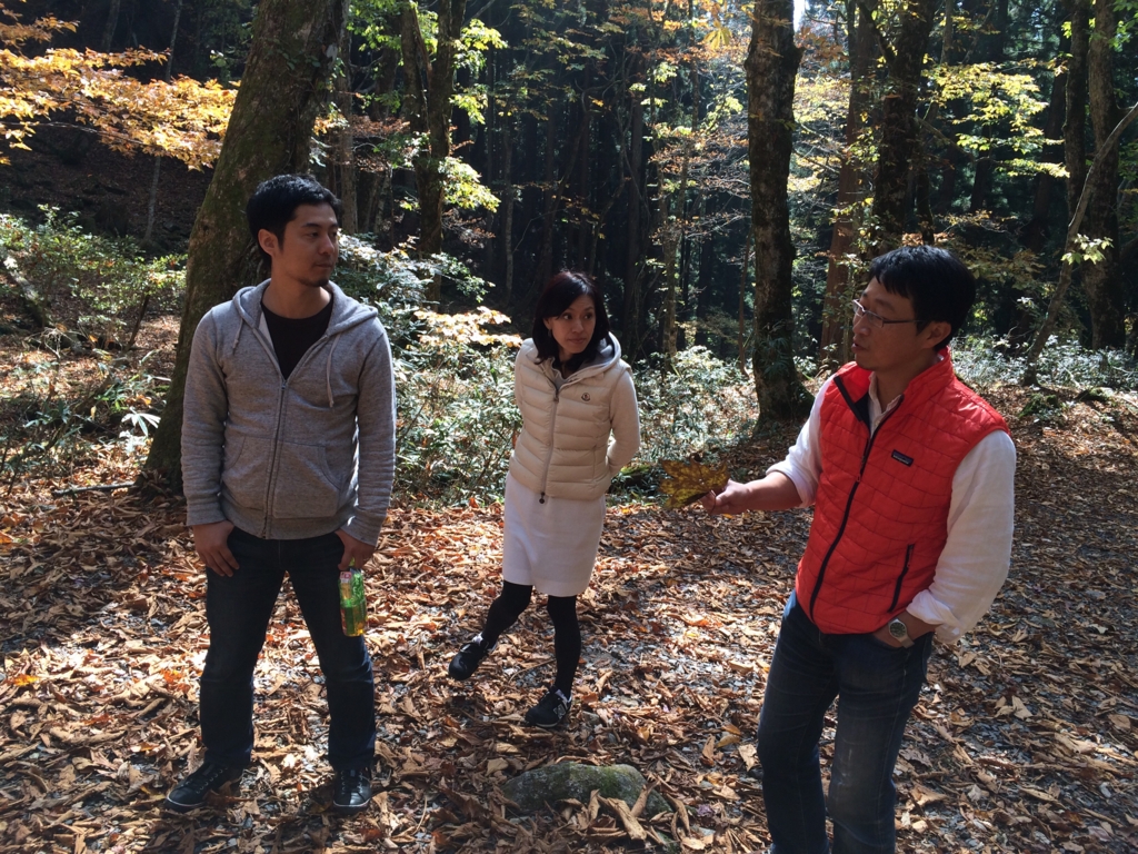 f:id:katchamans:20151024124903j:plain