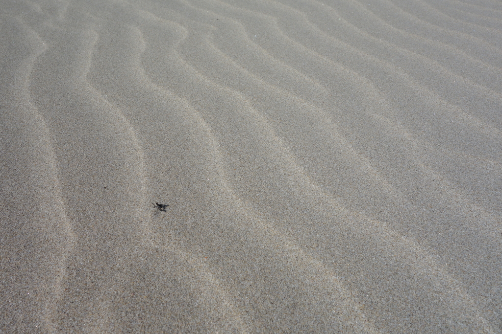 f:id:katchamans:20151025130121j:plain