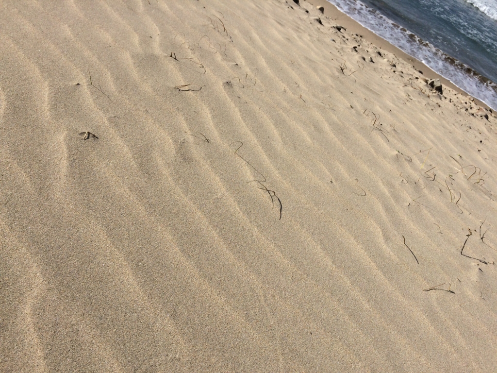 f:id:katchamans:20151025142502j:plain