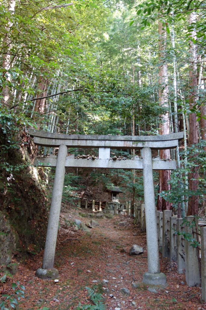 f:id:katchamans:20151209113123j:plain