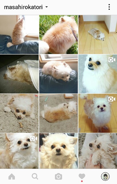 f:id:katorimasahiro:20160730102502j:image